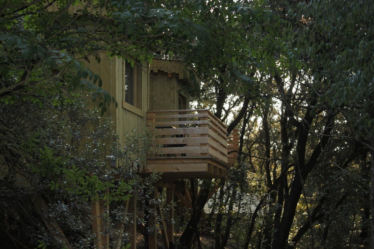 Les Cabanes Dans Les Bois Logis Hotel Villedubert Camera foto