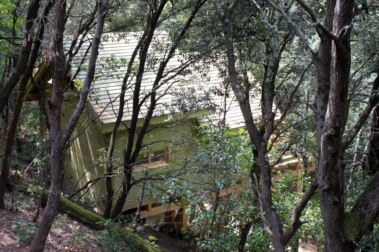 Les Cabanes Dans Les Bois Logis Hotel Villedubert Esterno foto