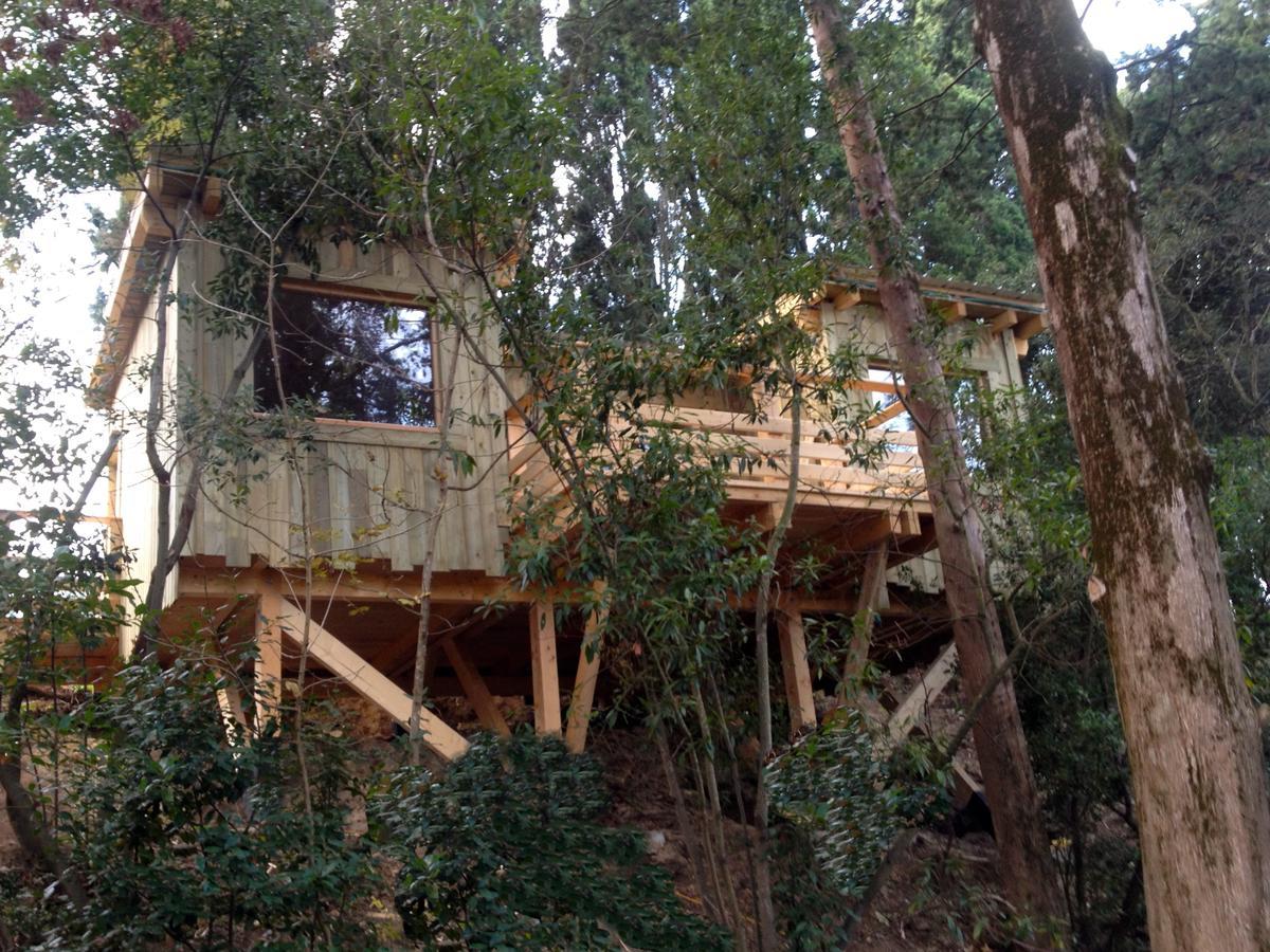 Les Cabanes Dans Les Bois Logis Hotel Villedubert Camera foto