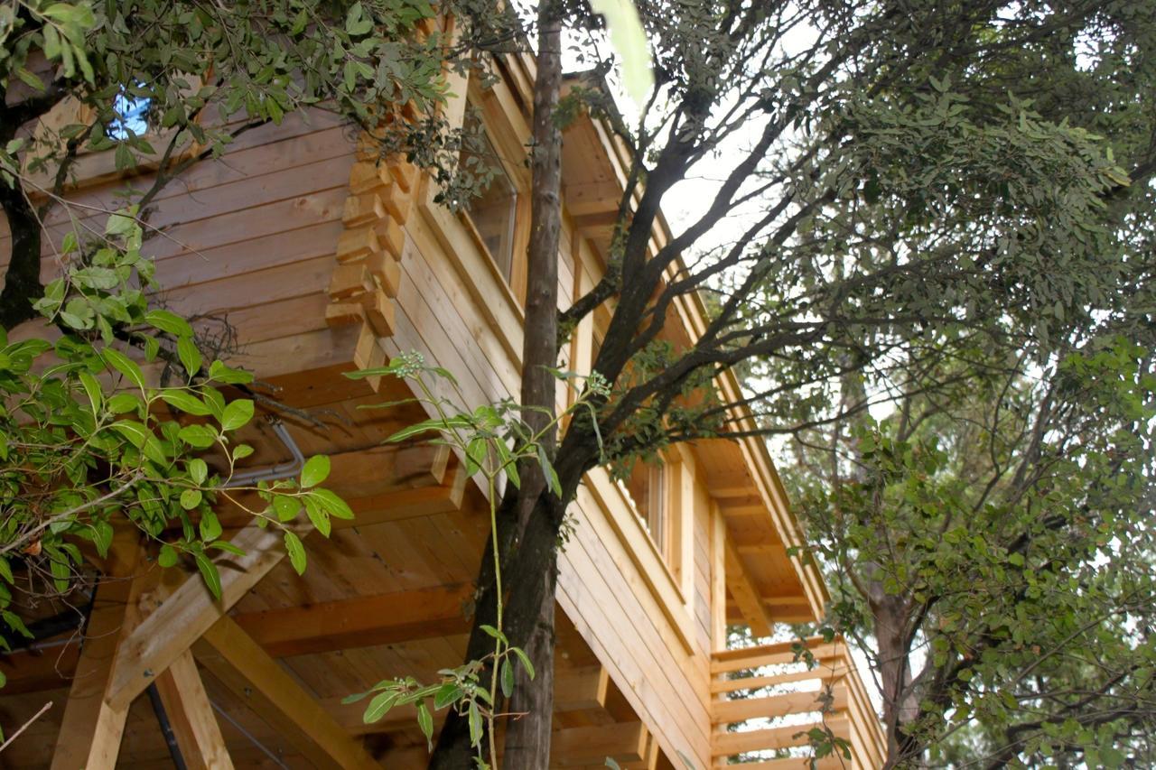 Les Cabanes Dans Les Bois Logis Hotel Villedubert Esterno foto