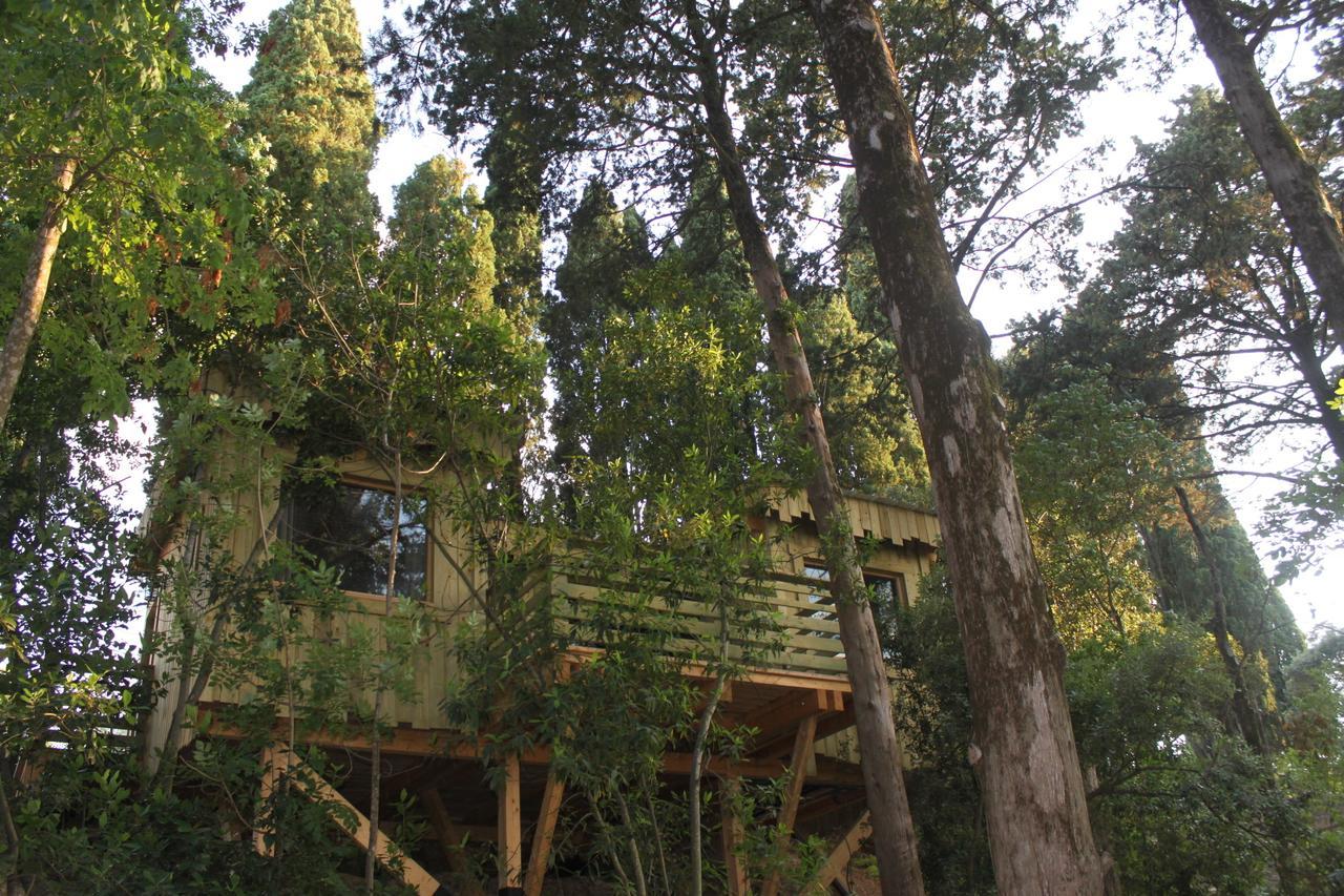 Les Cabanes Dans Les Bois Logis Hotel Villedubert Camera foto