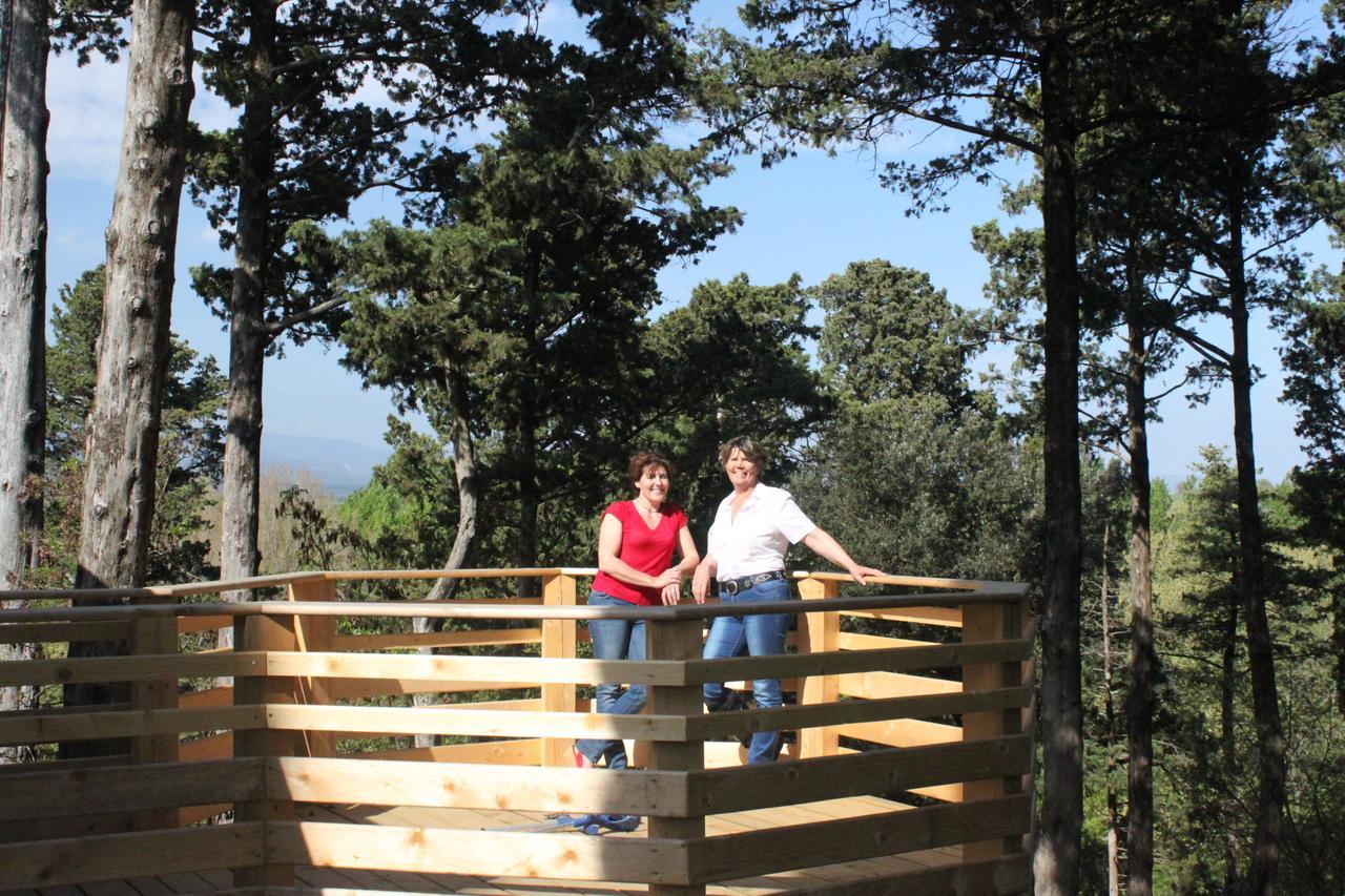 Les Cabanes Dans Les Bois Logis Hotel Villedubert Esterno foto