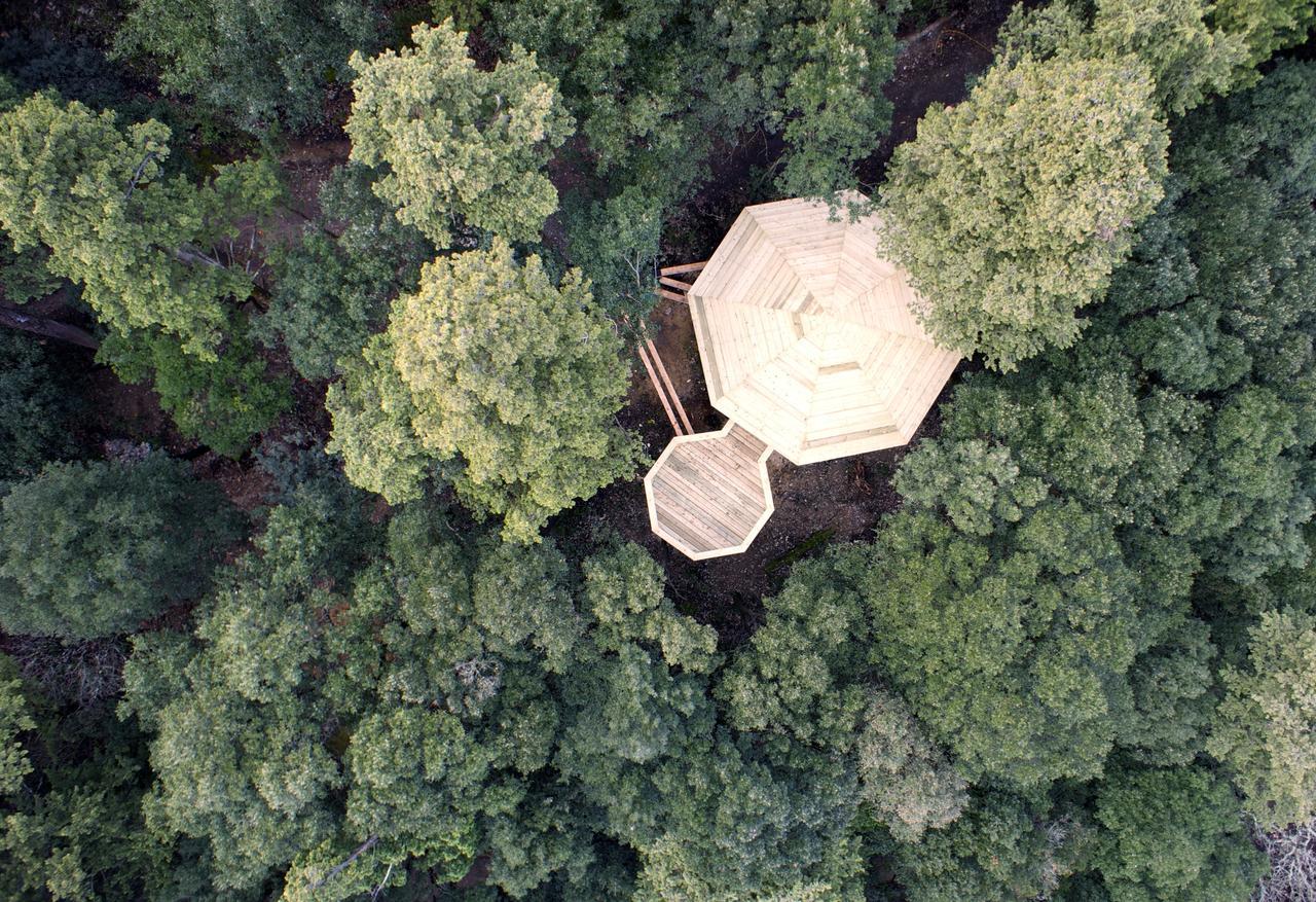 Les Cabanes Dans Les Bois Logis Hotel Villedubert Esterno foto