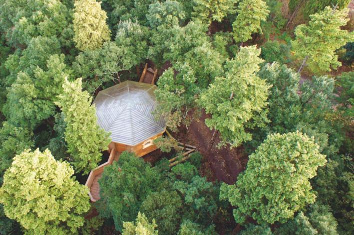 Les Cabanes Dans Les Bois Logis Hotel Villedubert Esterno foto