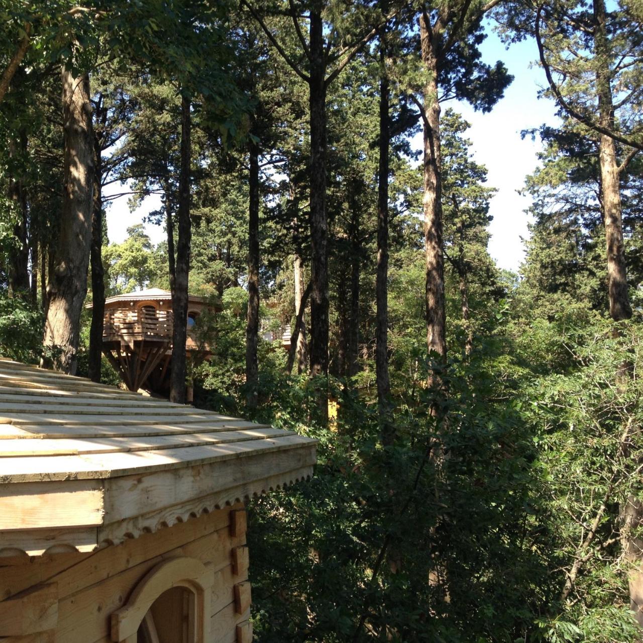 Les Cabanes Dans Les Bois Logis Hotel Villedubert Esterno foto